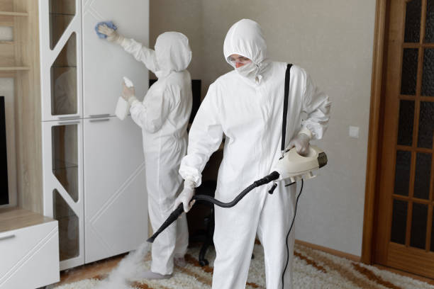 24/7 Emergency Odor Removal experts in Nashville, IL